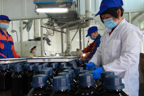 光華科技榮獲“全國石油和化學工業(yè)先進集體”稱號，彰顯化工技術(shù)創(chuàng)新硬實力